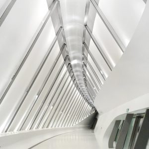 展示
